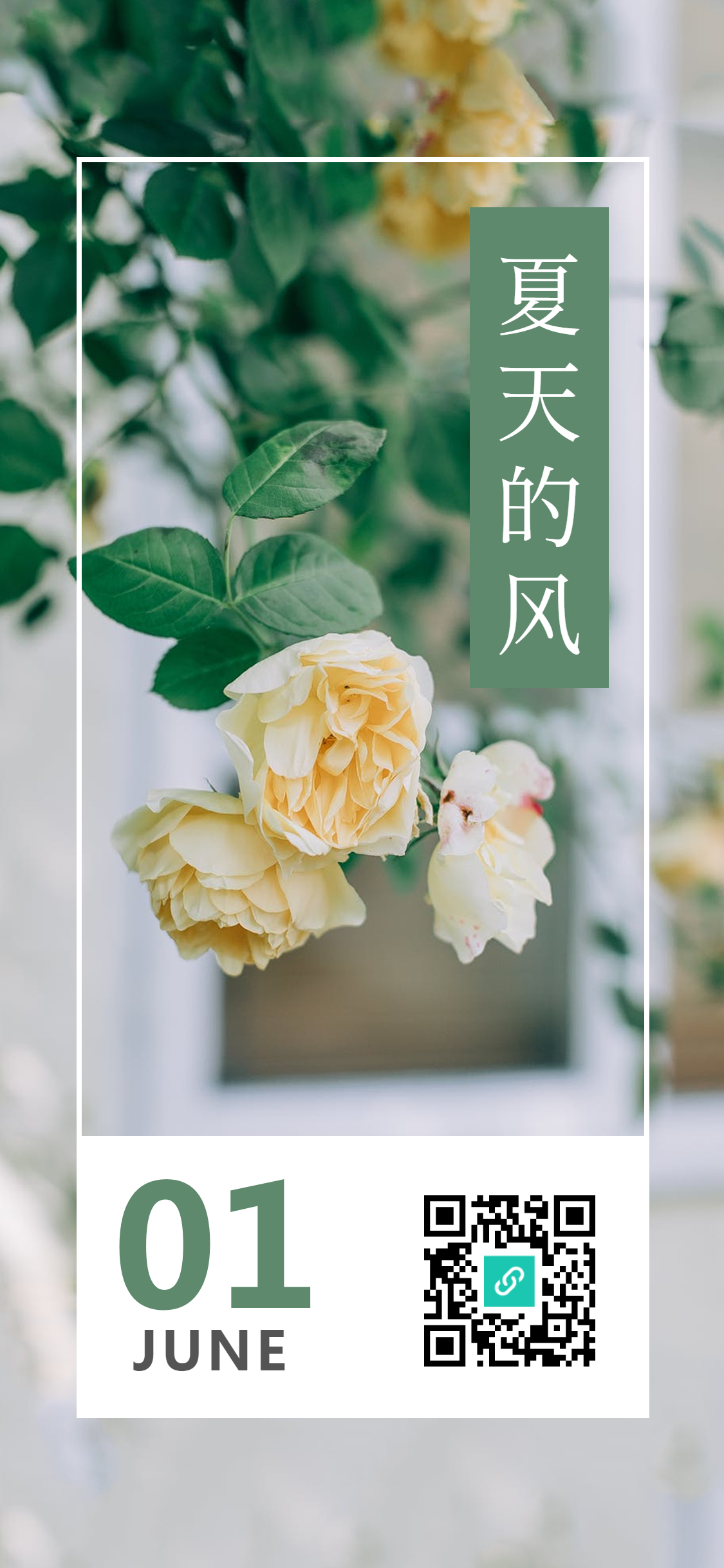 ins风夏天每日一签