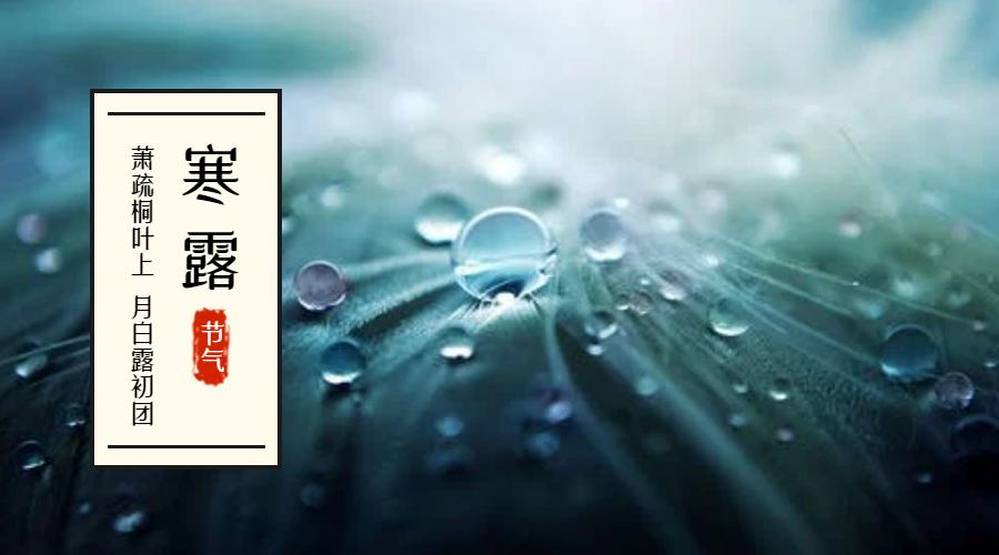 寒露-二十四节气微信横板海报