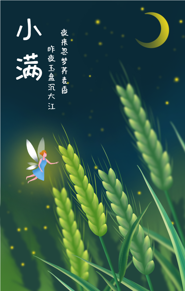 小满节气手机海报