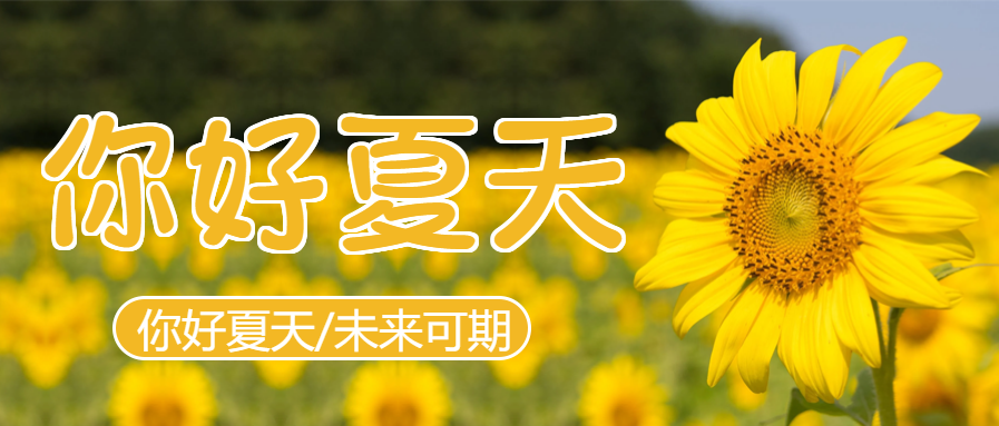 你好夏天问候向日葵微信公众号首图