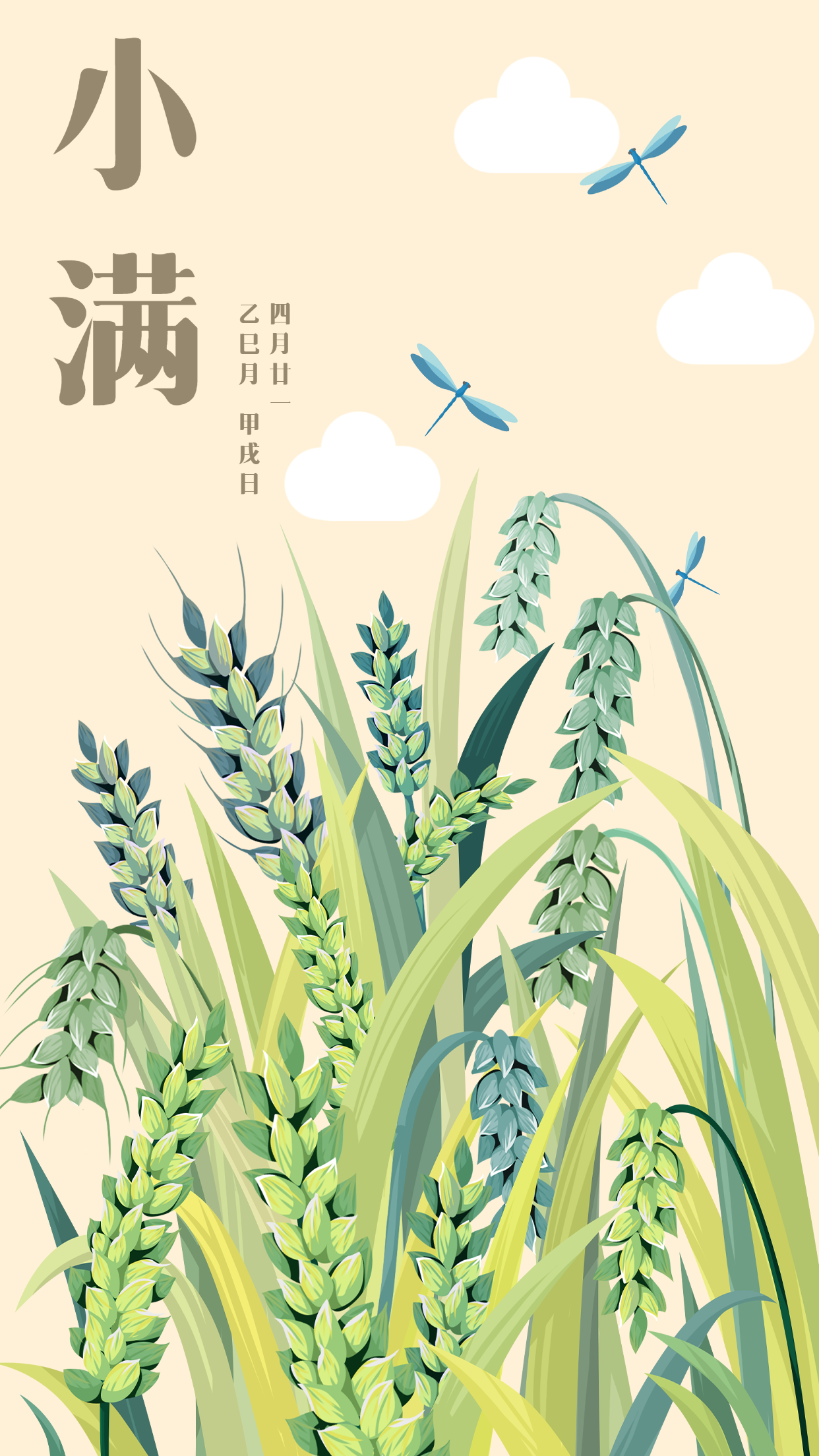 卡通插画小满二十四节气麦穗蜻蜓节气海报