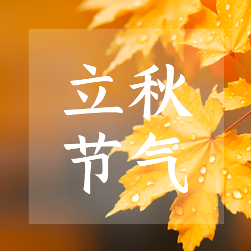 立秋节气黄色树叶实景简约微信公众号次图