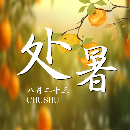 二十四节气处暑时节秋日黄橙橙柿子微信公众号次图