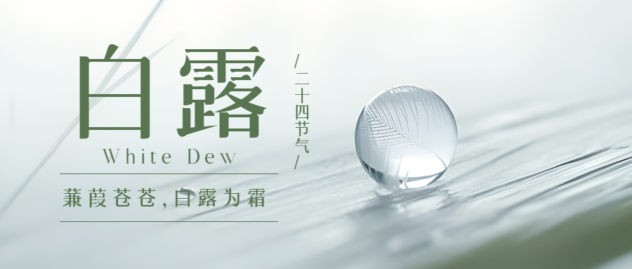 小水珠实景二十四节气白露微信公众号首图