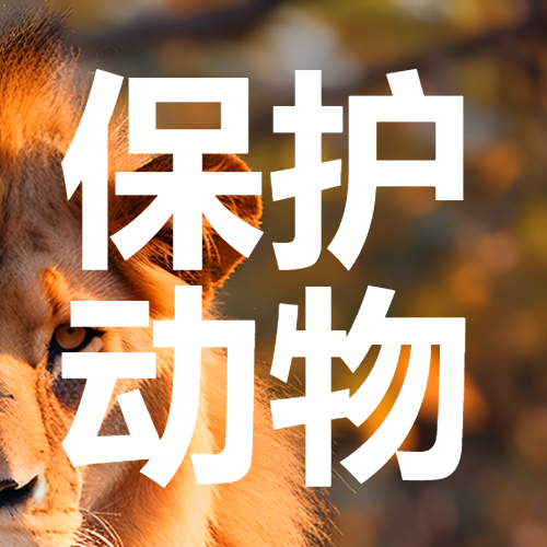 保护动物善待动物和谐共生简约微信公众号次图