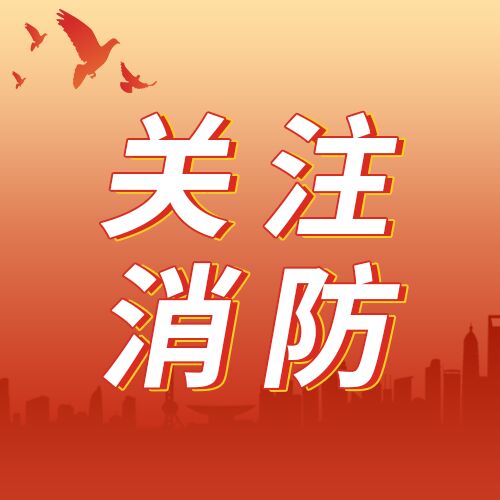 红色渐变重视关注消防安全知识科普城市鸽子剪影公众号次图