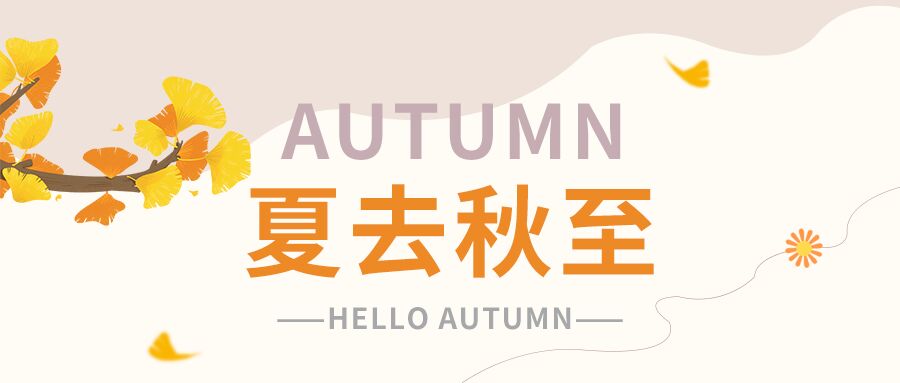 夏去秋至秋天银杏树曲线线条飘落秋季公众号首图