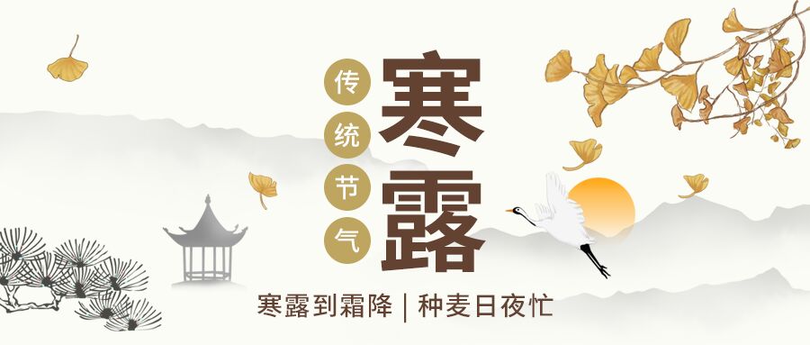 二十四节气传统节气寒露银杏落叶落日国风公众号首图