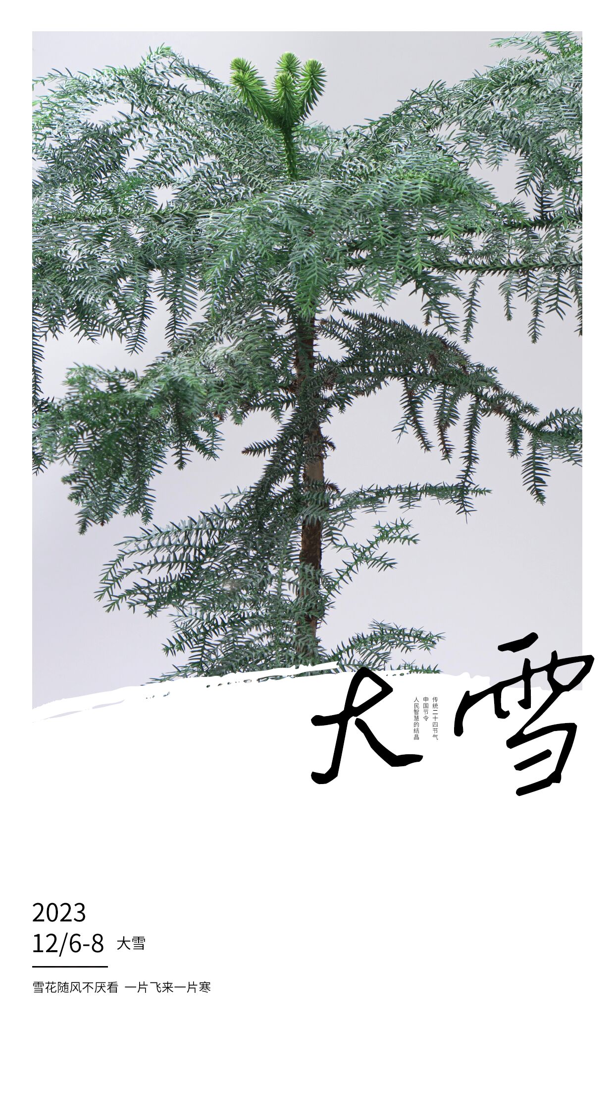 二十四节气大雪绿植雪松手机海报