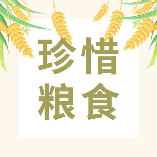 珍惜粮食小麦插画微信公众号次图